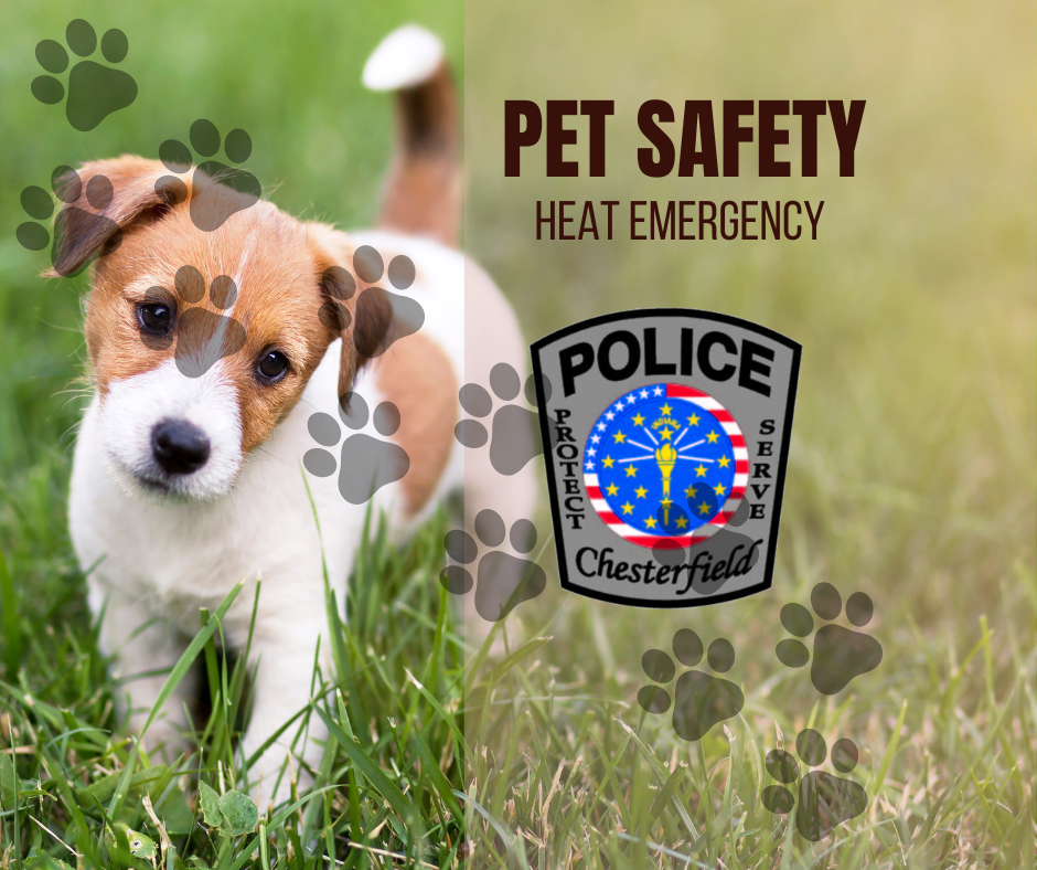 Pet Safety Heat