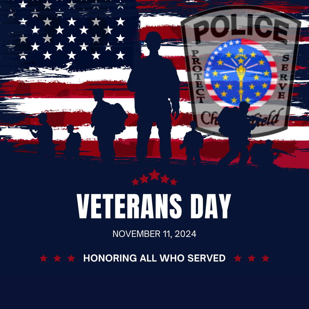 Honoring Our Heroes This Veterans Day